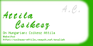 attila csikesz business card